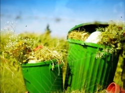 خیلی خیلی کوچک (1) (خرمگس)